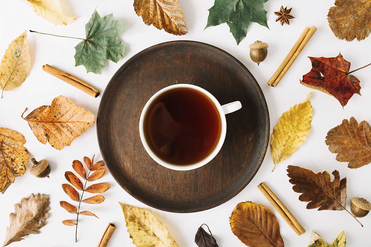 ayurvedica-tisana